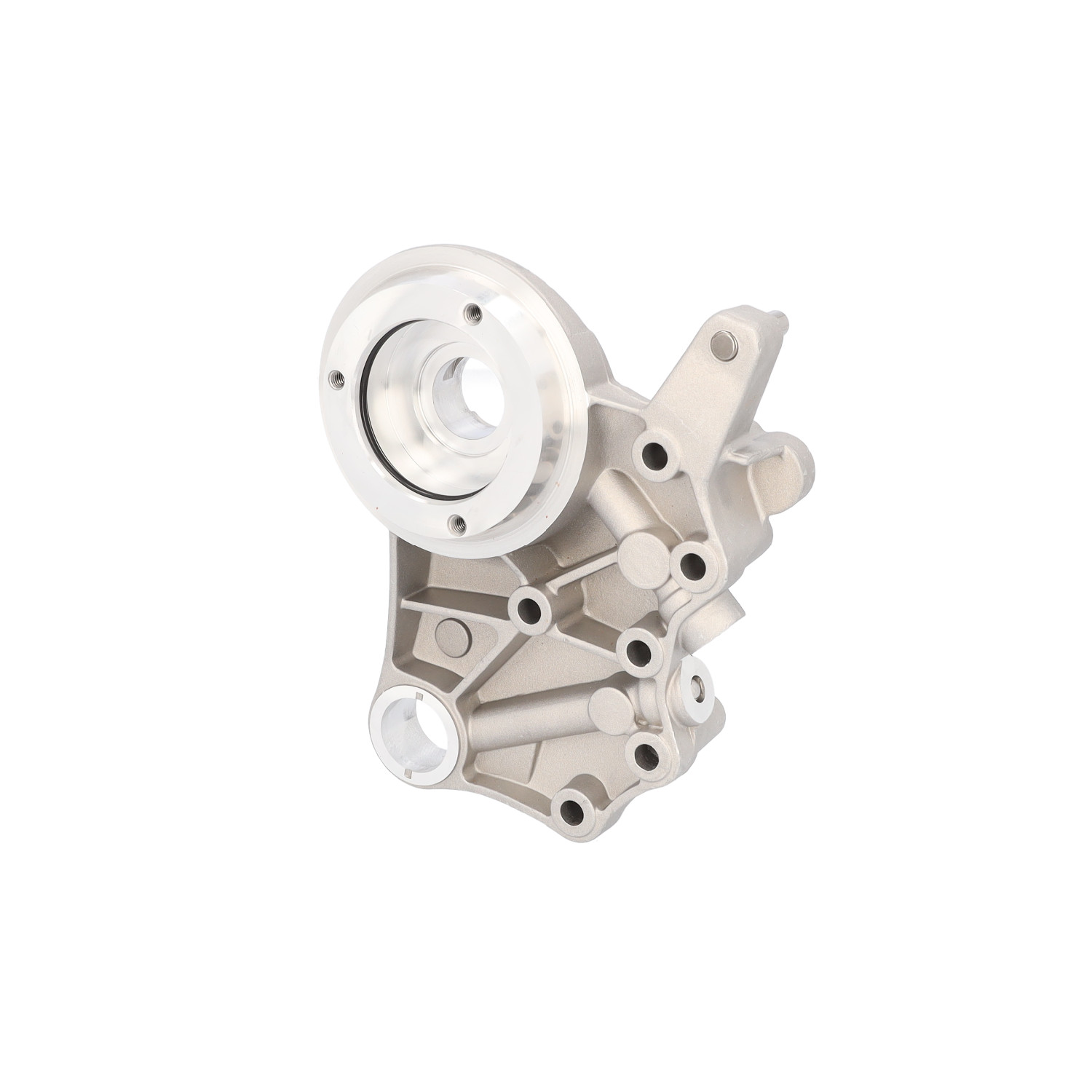 171970 Oliepumpe FEBI BILSTEIN 06H103144K VW