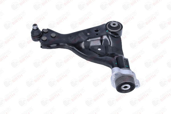 BR2480 Supporto braccio oscillante BIRTH A639 330 1501