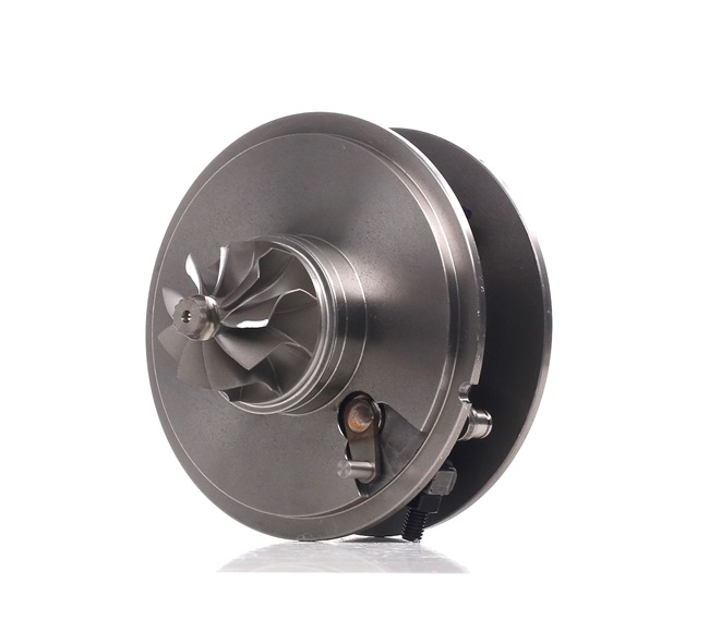 RIDEX Cartouche turbo 4973C0079