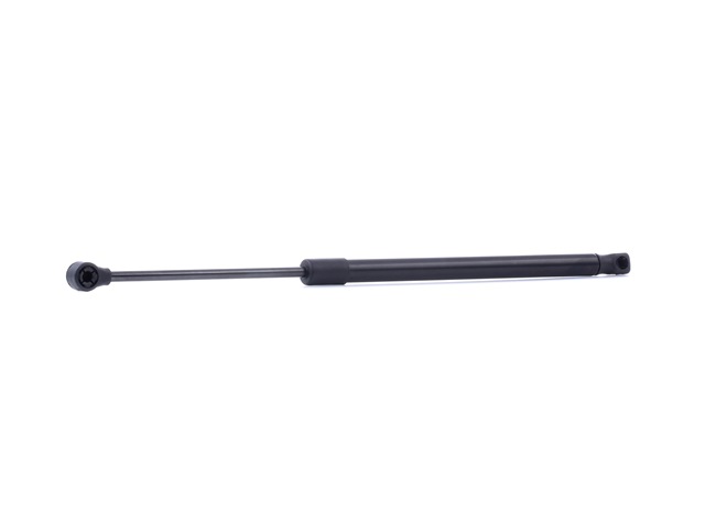RIDEX Tailgate strut 219G0969