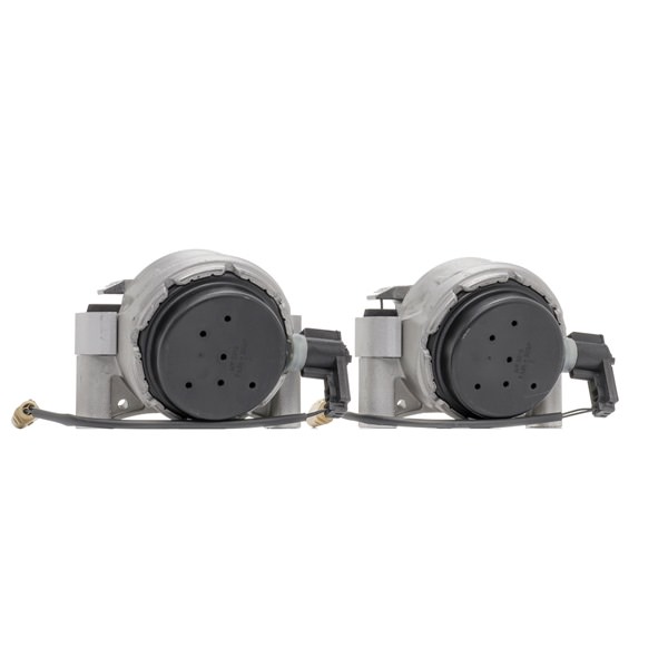 RIDEX 247E0584 Soporte de motor 4064138379212