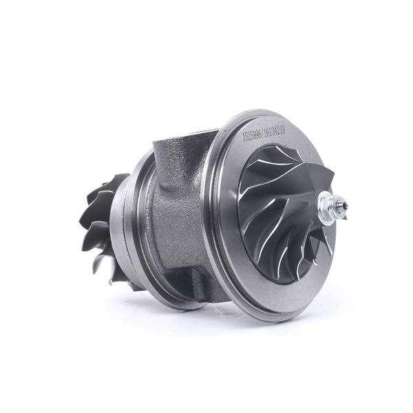 RIDEX Cartouche turbo 4973C0081