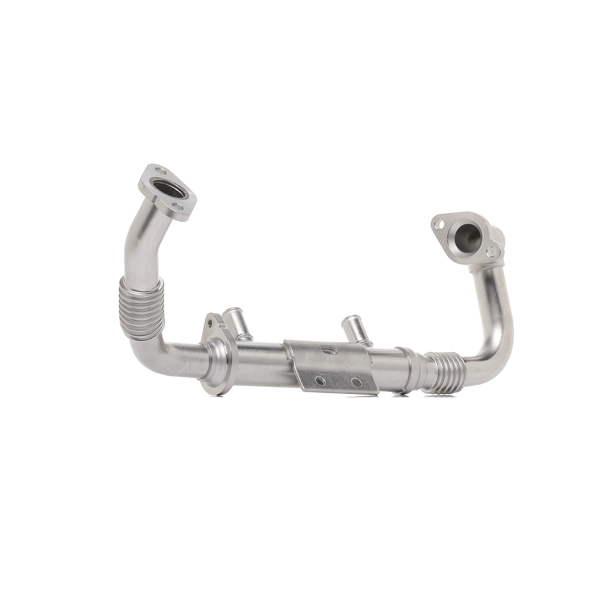 RIDEX 4198E0021 EGR Module