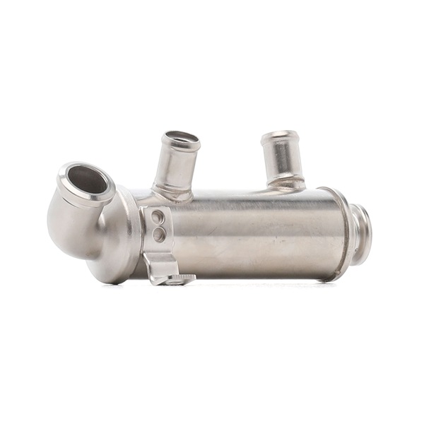 RIDEX Módulo RGE (recirculação dos gases de escape) 4198E0036