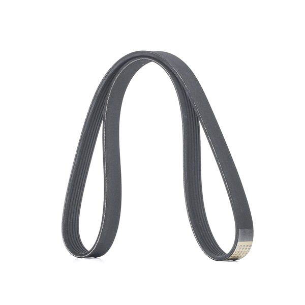 RIDEX 305P0484 Keilrippenriemen