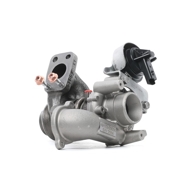 RIDEX REMAN Turbocompresseur 2234C10290R