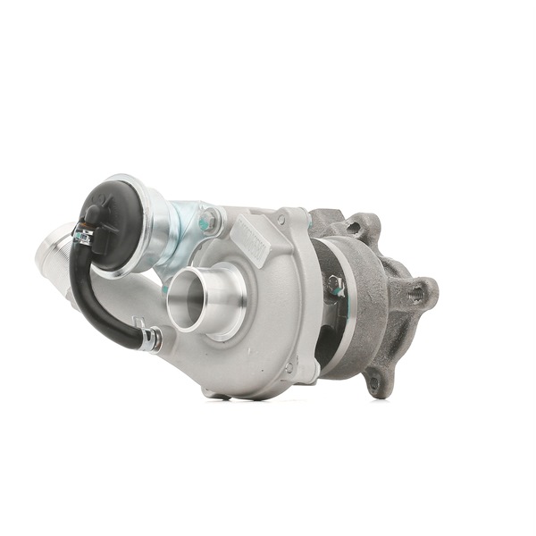 RIDEX Turbocharger 2234C10409