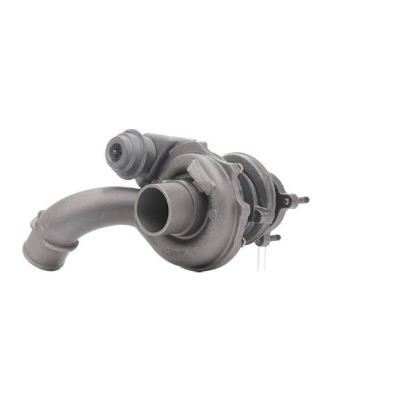 RIDEX REMAN Turbocharger 2234C10424R