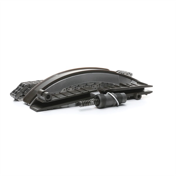 RIDEX Timing chain kit 1389T2533