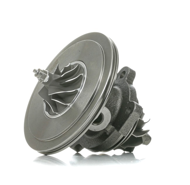 RIDEX Cartouche turbo 4973C0102