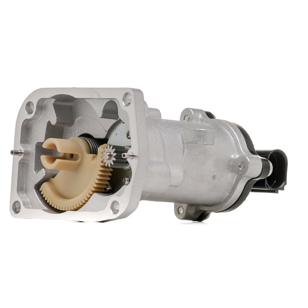 PIERBURG 7.24809.89.0 EGR valve