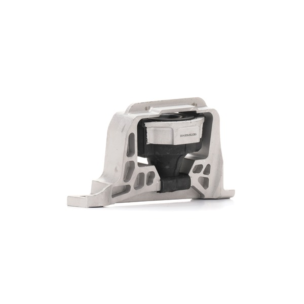 RIDEX 247E0667 Variklio montavimas