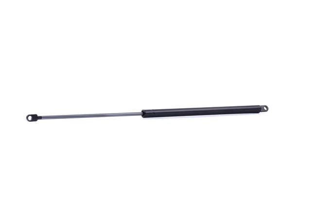 RIDEX Tailgate strut 219G0985