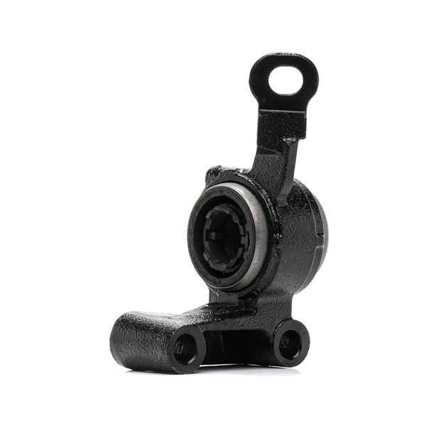 RIDEX Trailing arm / Suspension arm bush 251T0764