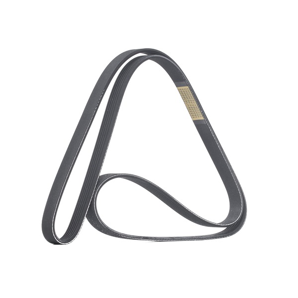 RIDEX Keilrippenriemen 305P0506