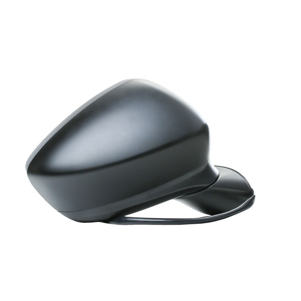 RIDEX Espejo retrovisor 50O1241