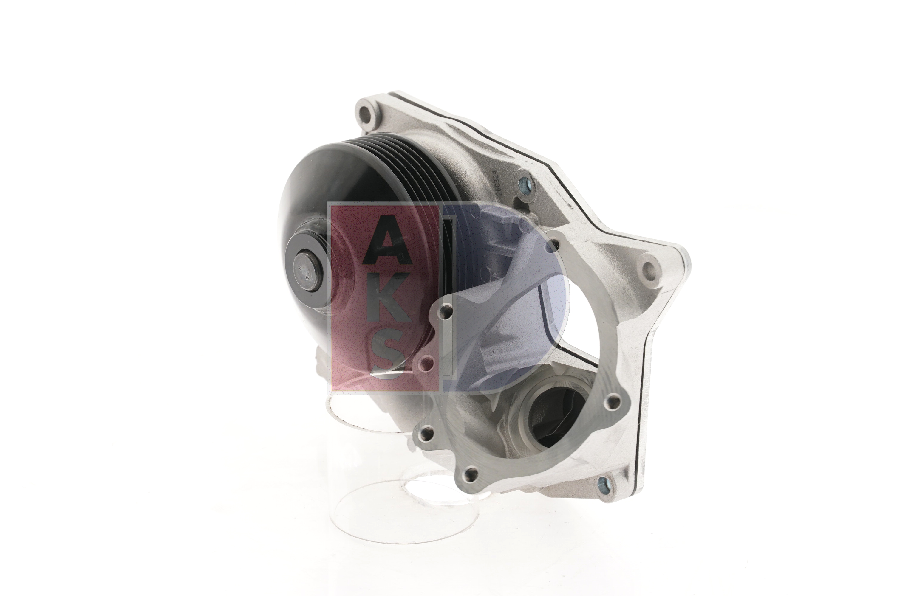 AKS DASIS 570105N Pompe à eau