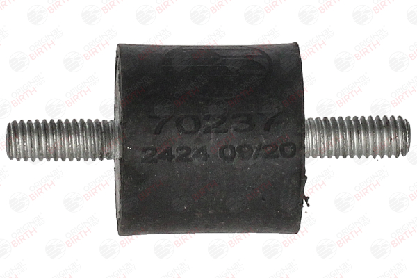 70237 Halter, Abgasanlage BIRTH 6679880011