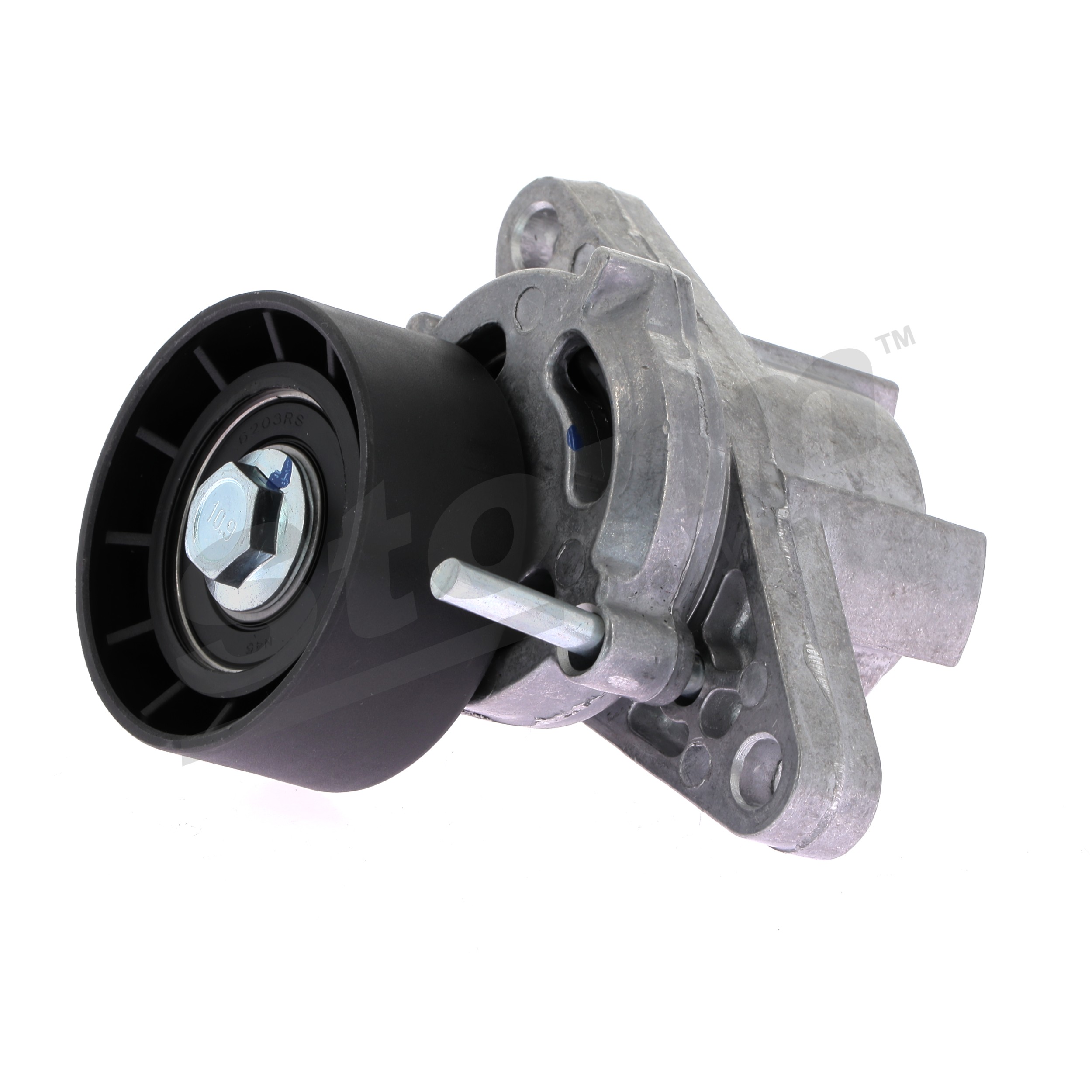 STORM QUALITY PARTS 106191 riemspanner, poly v-riem Dacia Logan US 1.6 MPI 85 84 Pk Benzine 2010 kosten