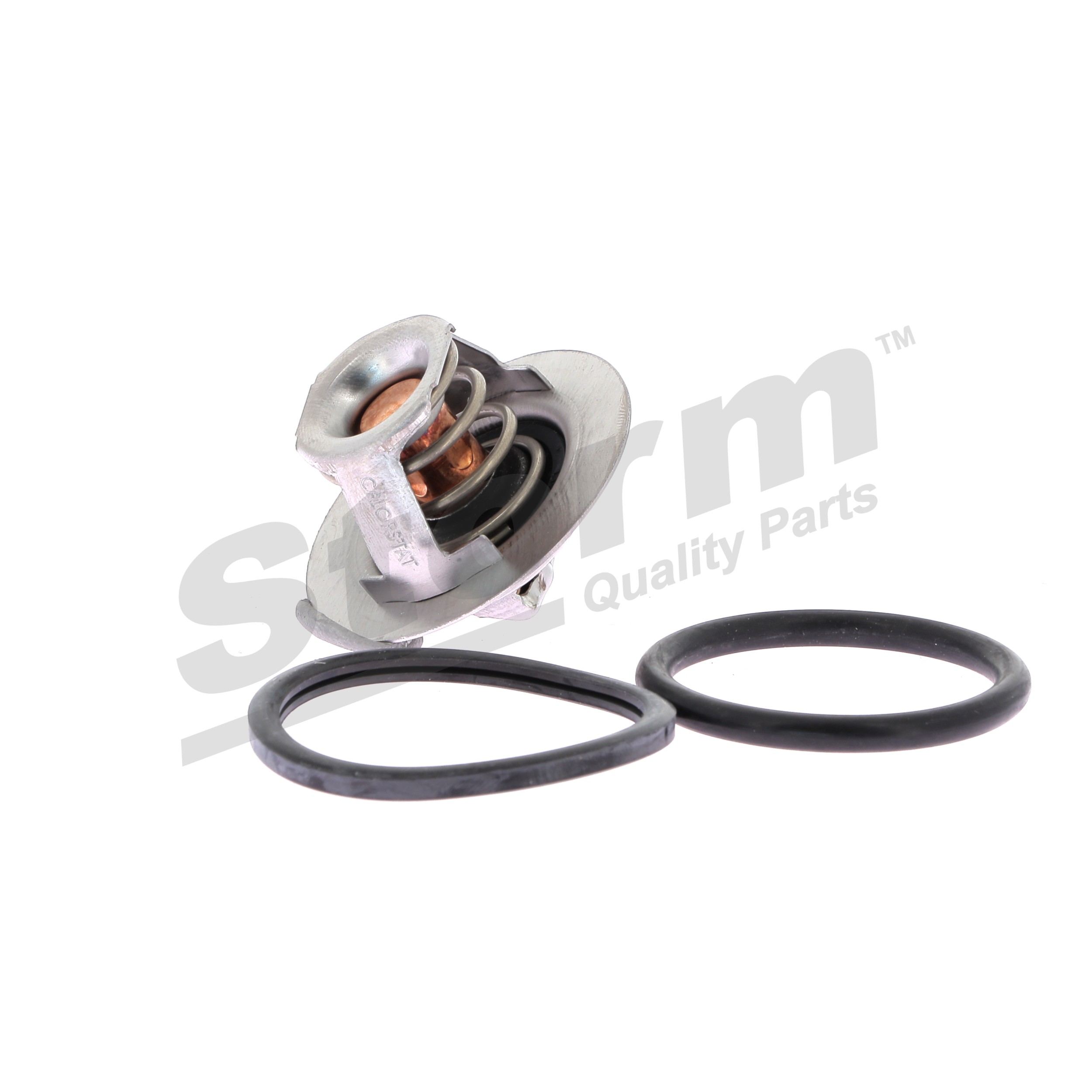 STORM QUALITY PARTS 199024 Renault Megane Scenic 1.9dT (JA0Y) Termostats 94 ZS Dīzelis 1998 cena