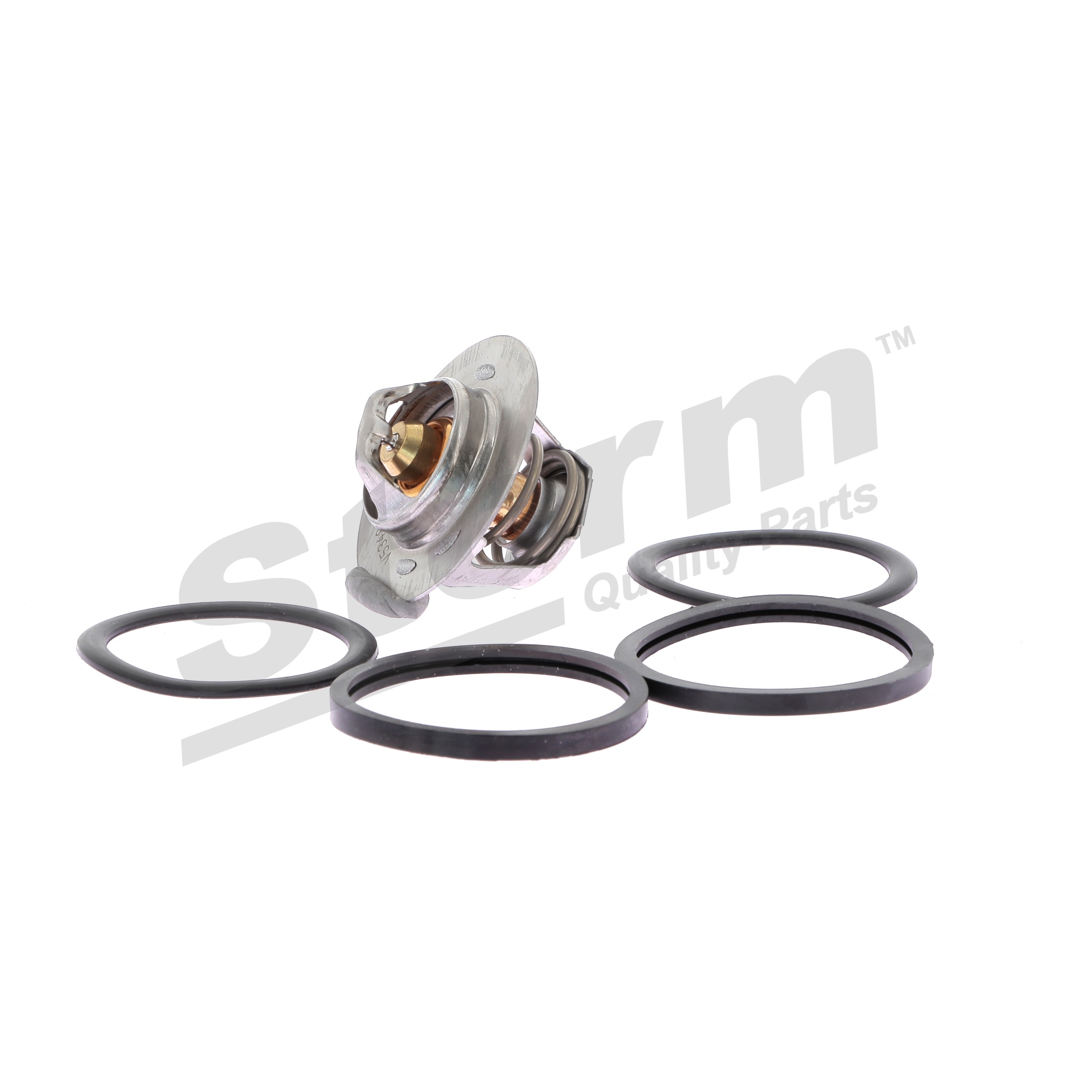 STORM QUALITY PARTS 199027 Renault Megane Scenic 1.9dT (JA0Y) Termostats 94 ZS Dīzelis 1998 cena