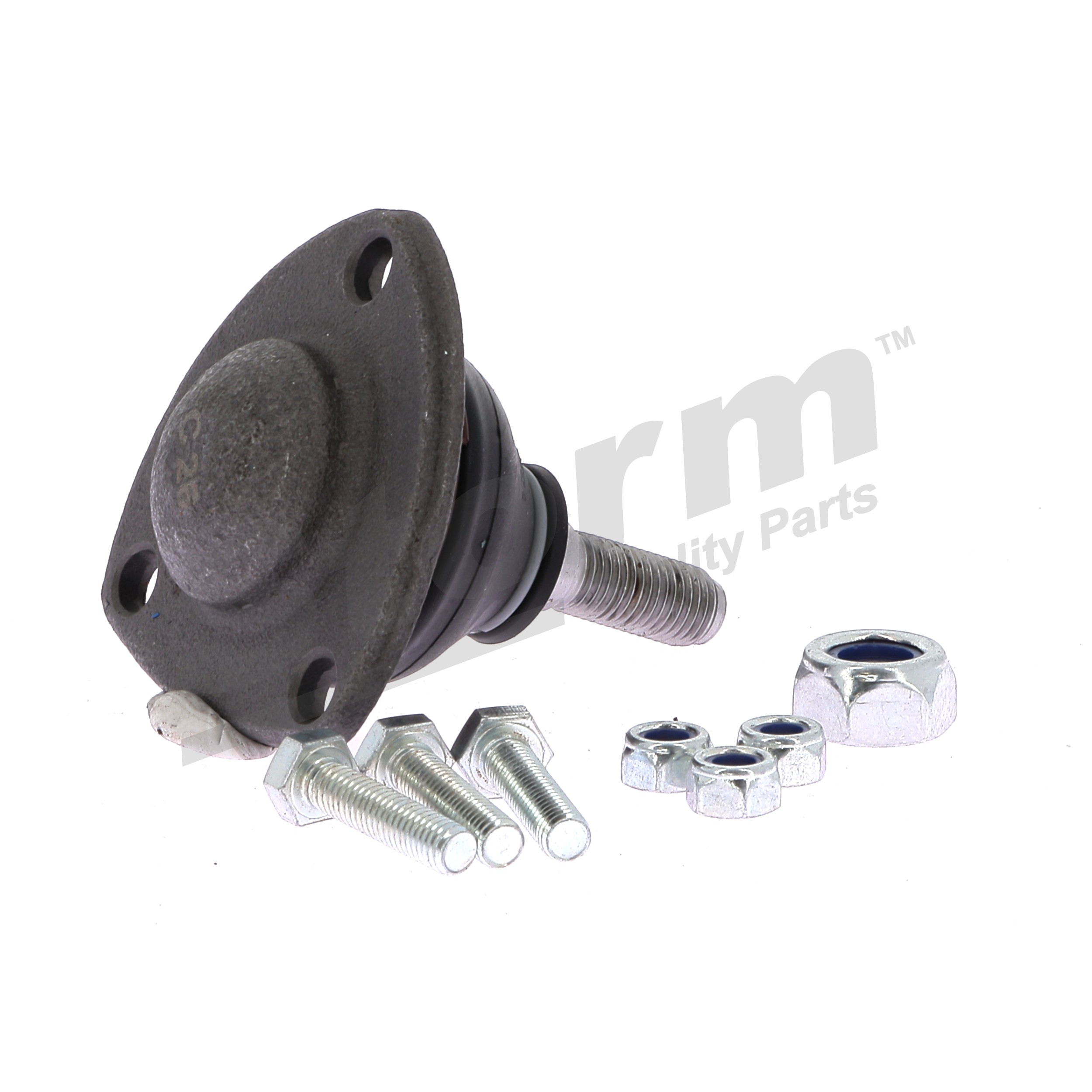 88185 Šarnyras STORM QUALITY PARTS 7701450904