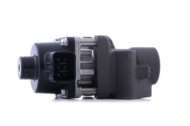 RIDEX Module-EGR 4198E0102