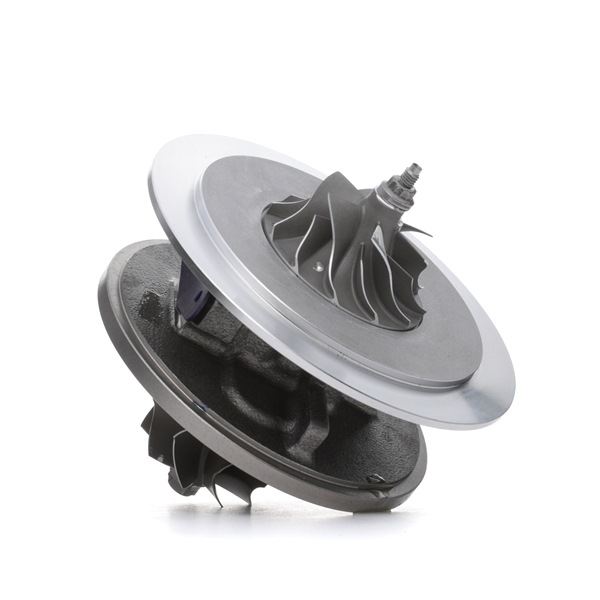 RIDEX Cartouche turbo 4973C0164