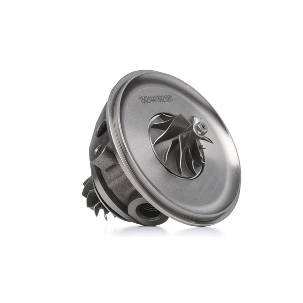 RIDEX Cartouche turbo 4973C0182