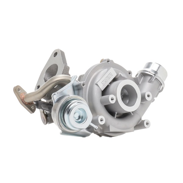 RIDEX Turbocharger 2234C10650