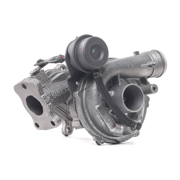 RIDEX REMAN Turbocharger 2234C10206R