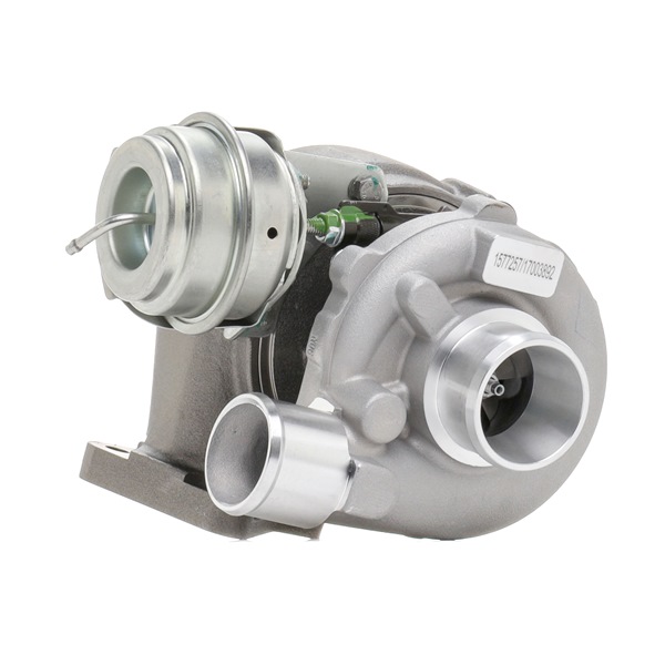 RIDEX Turbocharger 2234C10689