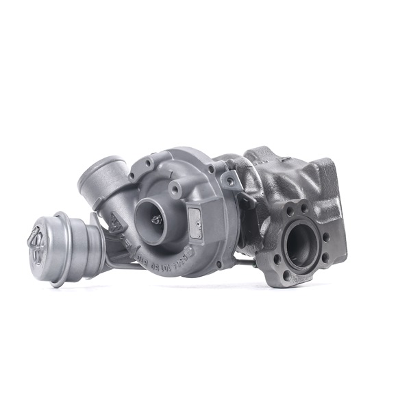 RIDEX REMAN Turbocharger 2234C10622R