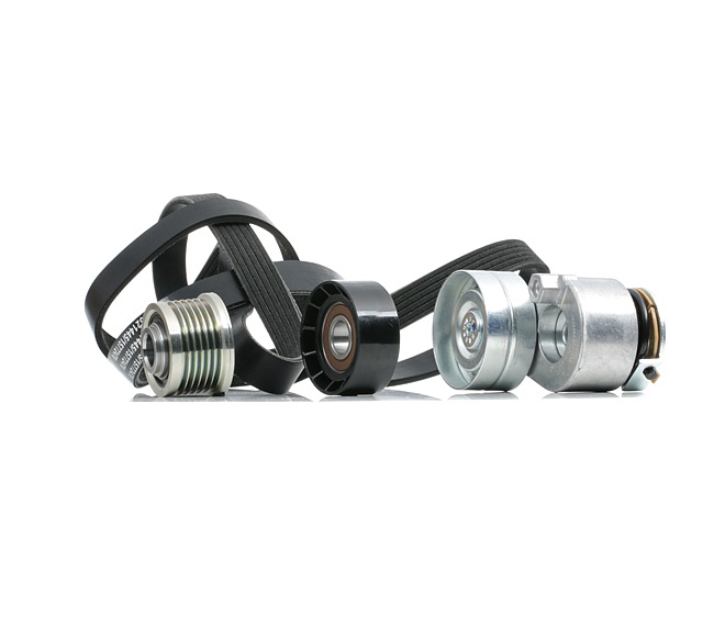 RIDEX V-Ribbed Belt Set 542R0732