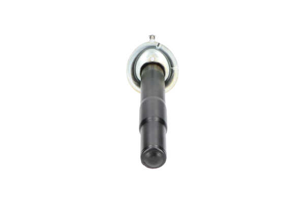 KAVO PARTS SSA-10464 Shock absorber 31 30 6 775 057