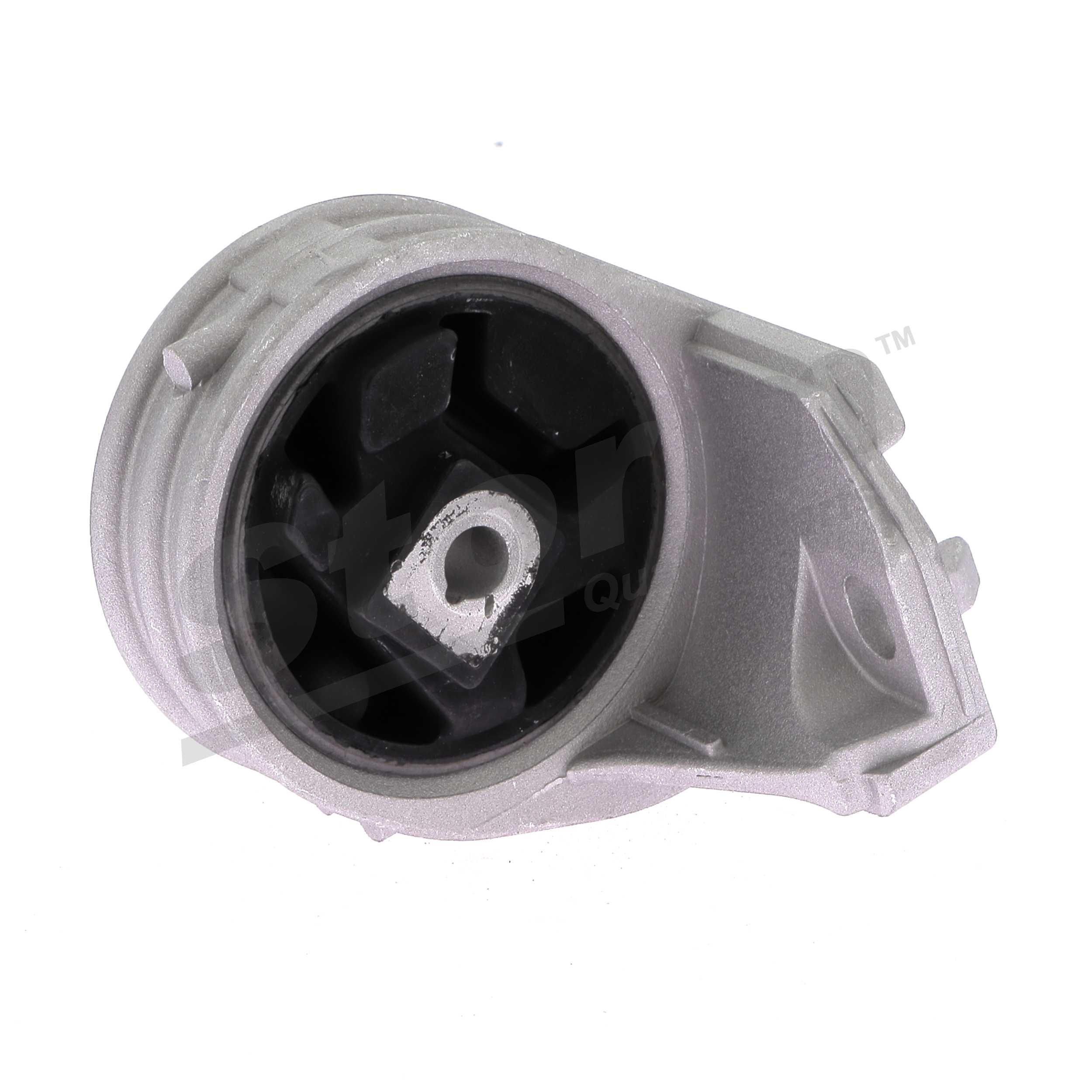 F0775 Paigutus, Mootor STORM QUALITY PARTS 7700805733