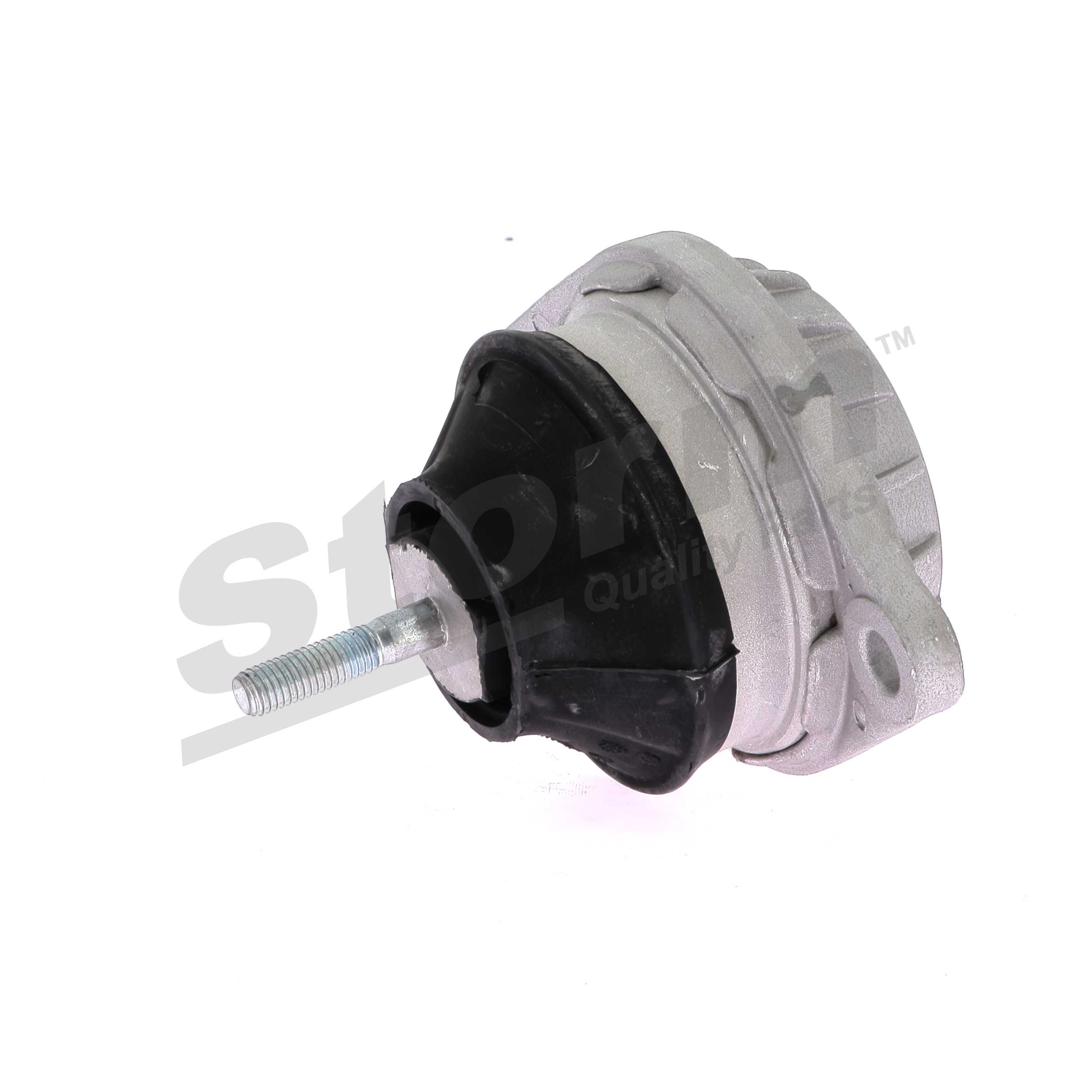 F1044 Motorfeste AUDI 50 STORM QUALITY PARTS