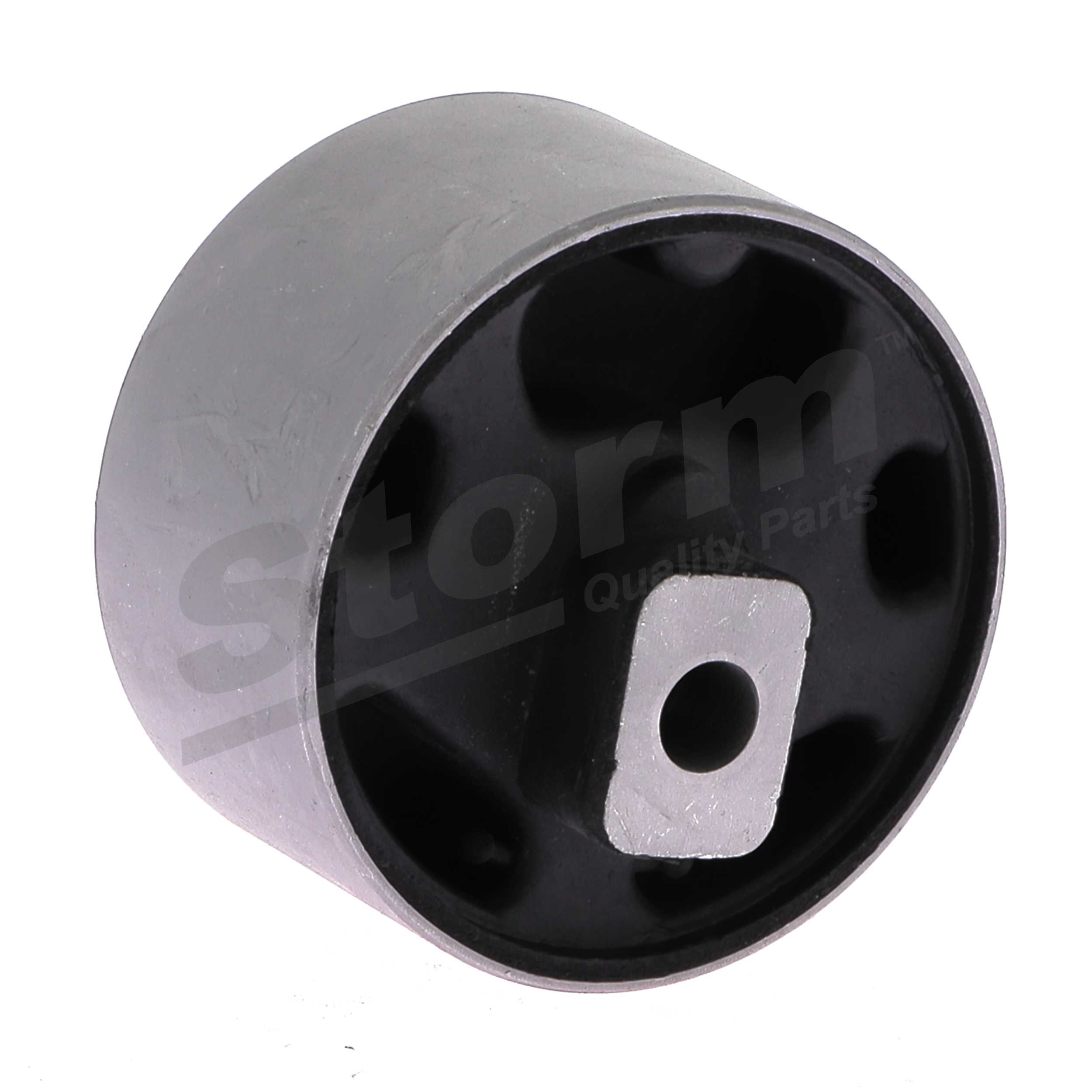 F1057 Support moteur STORM QUALITY PARTS 171199214G