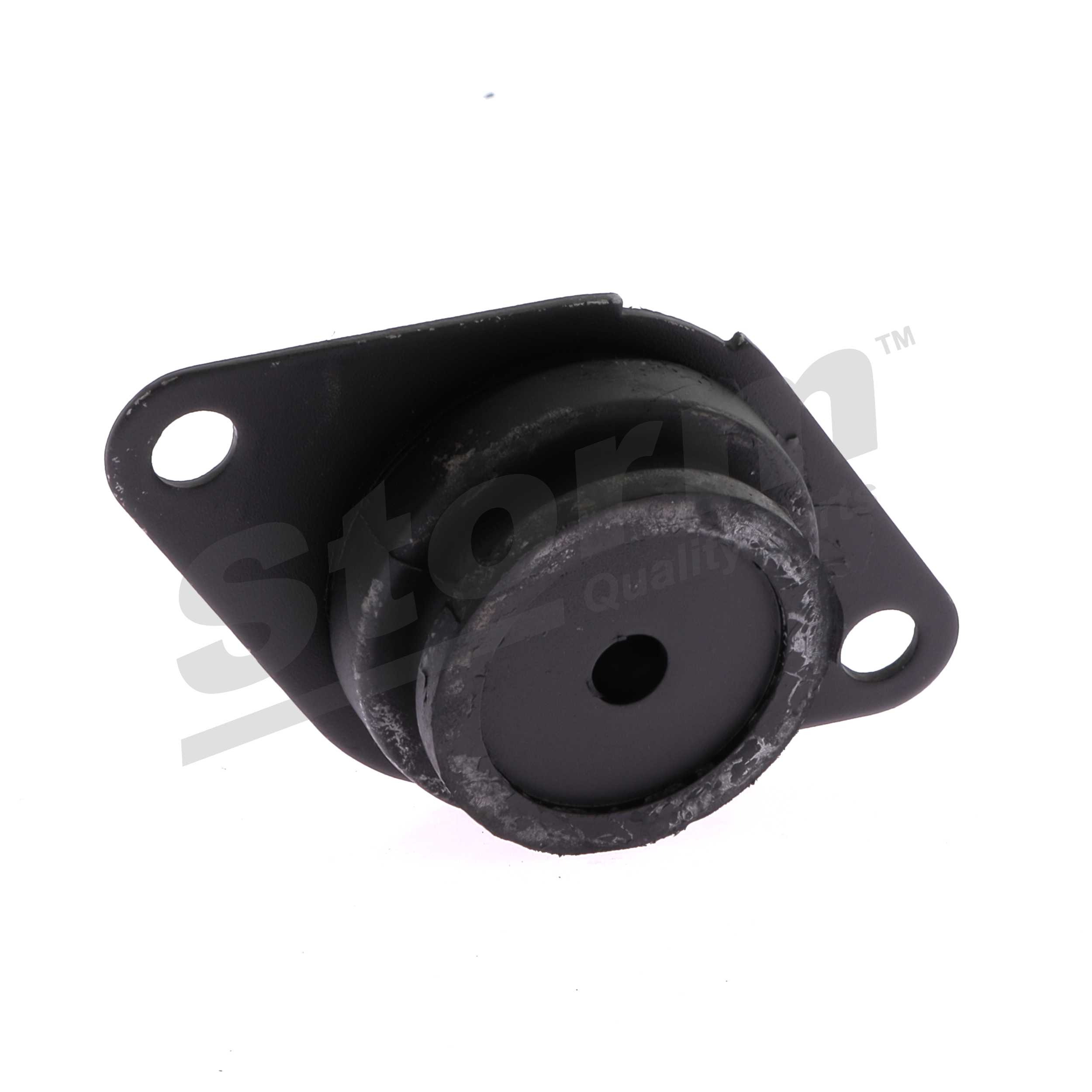 F2000 Motorlager STORM QUALITY PARTS 7700818369