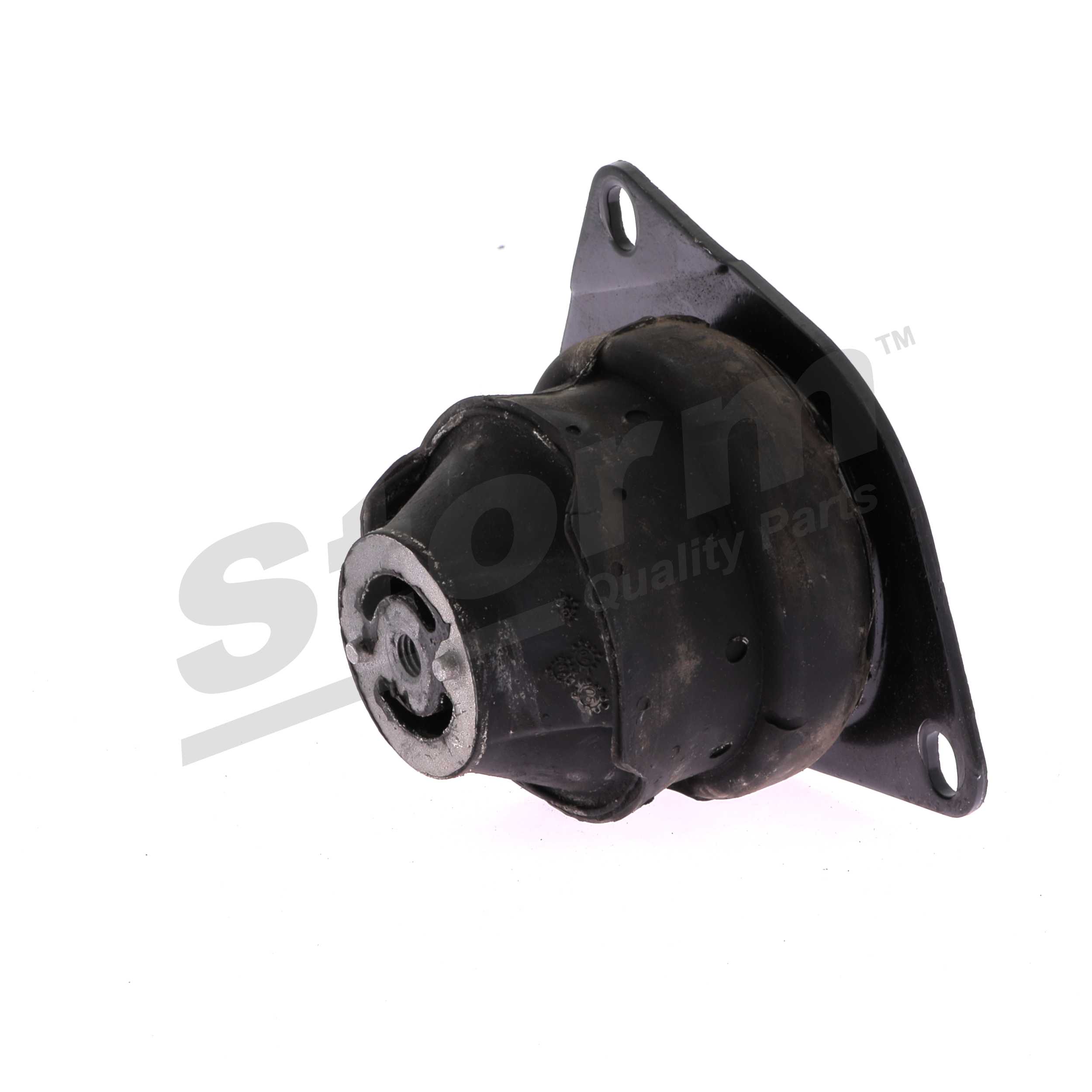 F2488 Variklio montavimas STORM QUALITY PARTS 6N0 199 262A VW