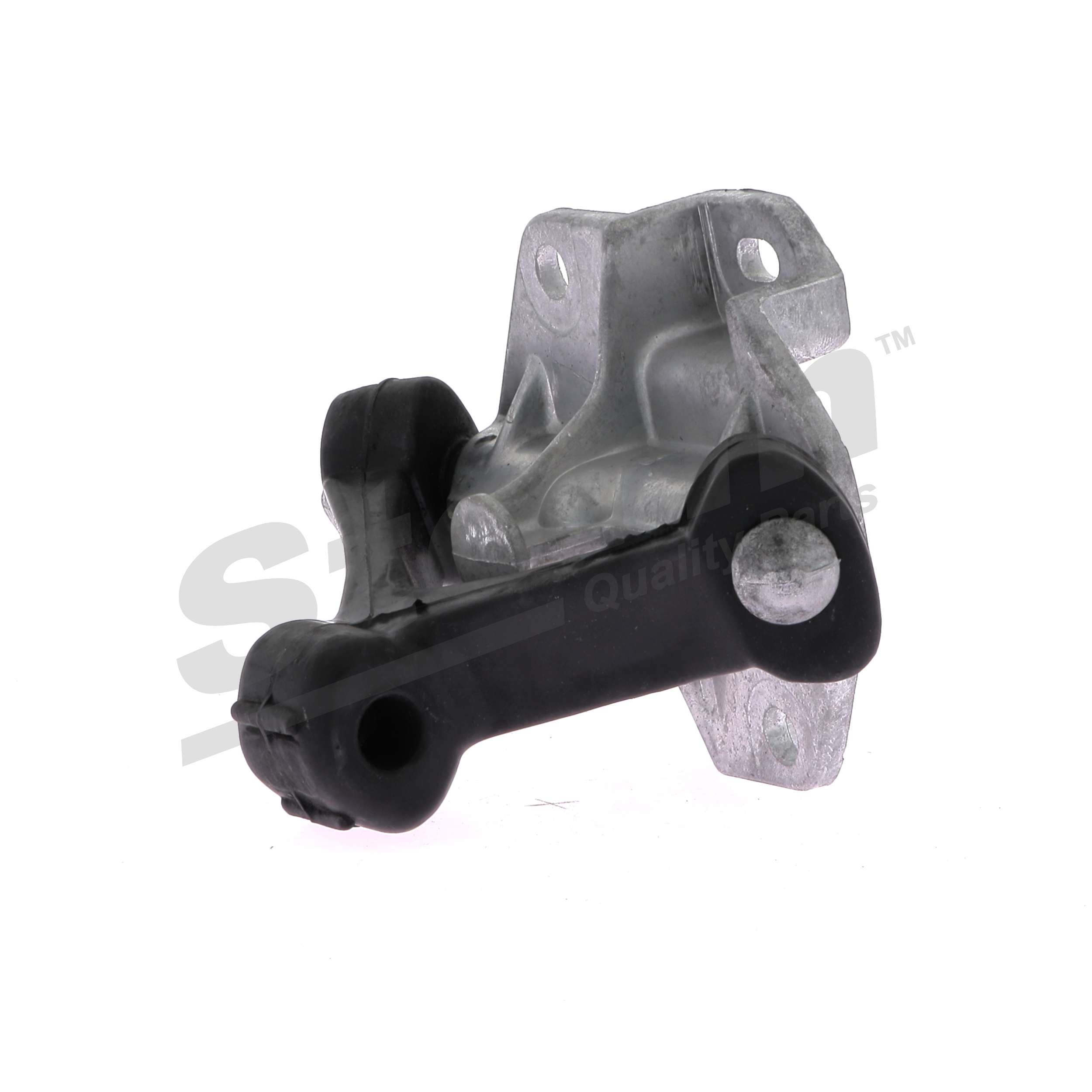STORM QUALITY PARTS F2490 Fixation de pot d'échappement Passat 3b2 2.8 V6 Syncro/4motion 193 CV Essence 1997 prix
