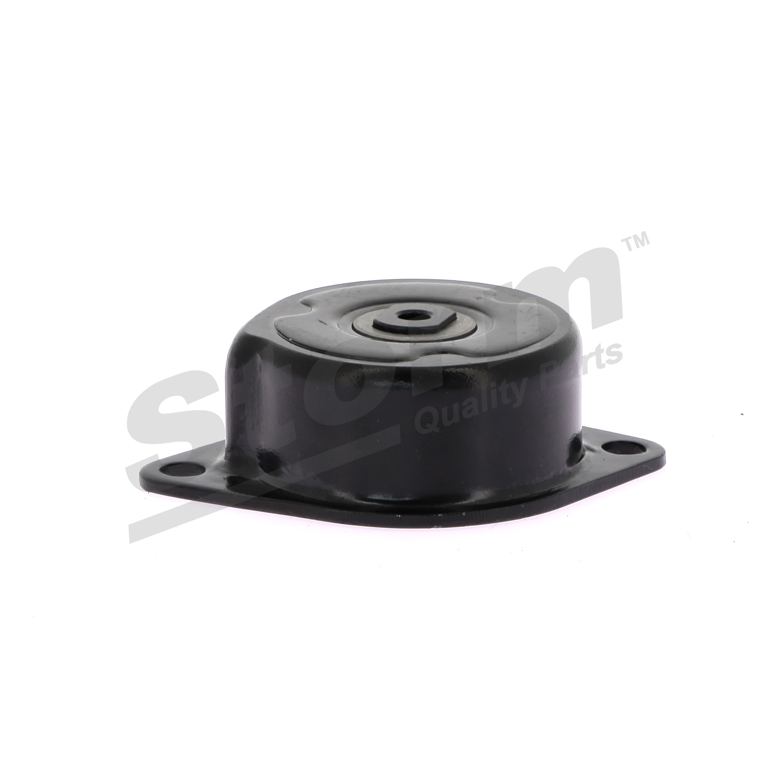 F4447 Napinak, zebrovany klinovy remen STORM QUALITY PARTS 028 903 315E FORD