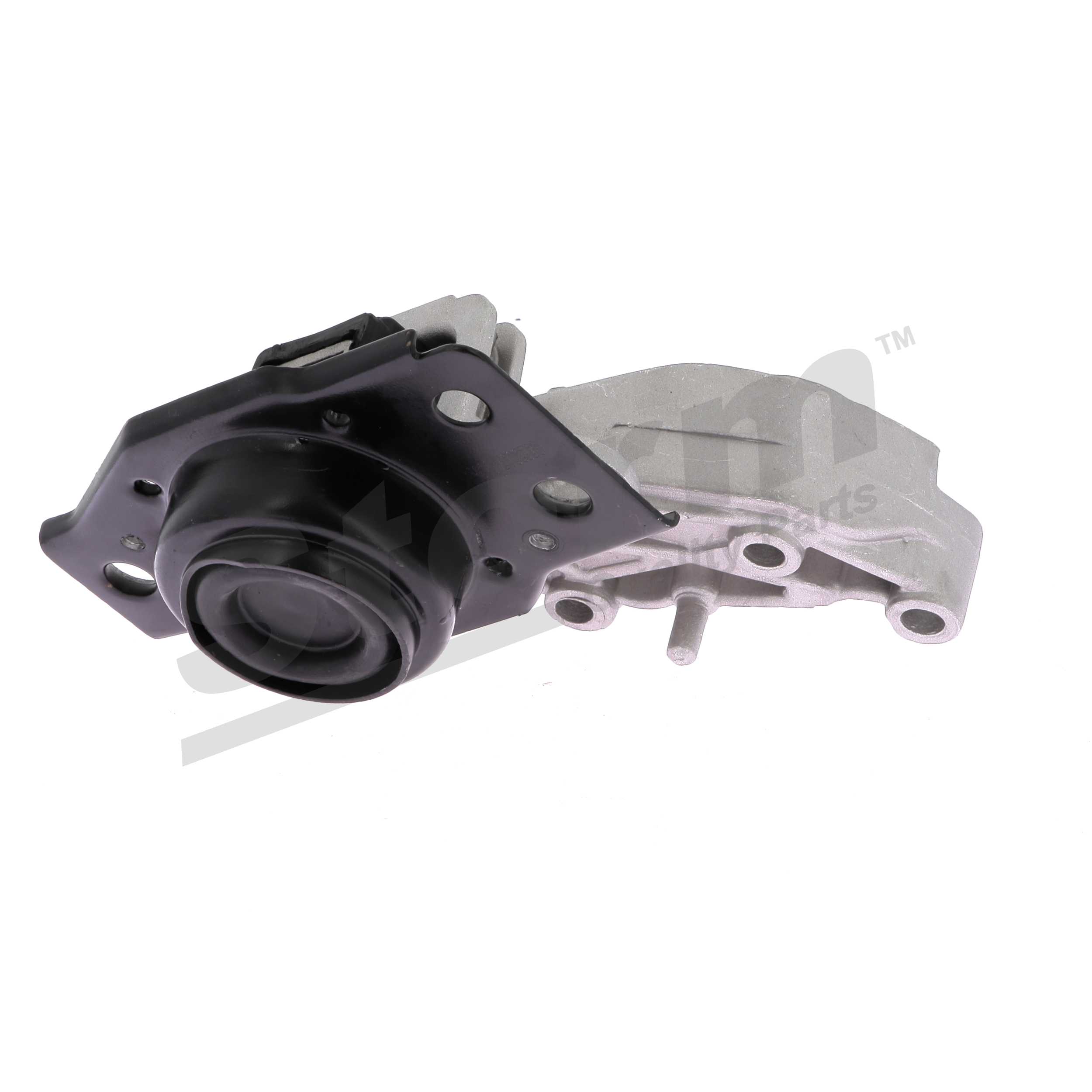 F5311 STORM QUALITY PARTS Motoroppheng Renault Grand Scénic II