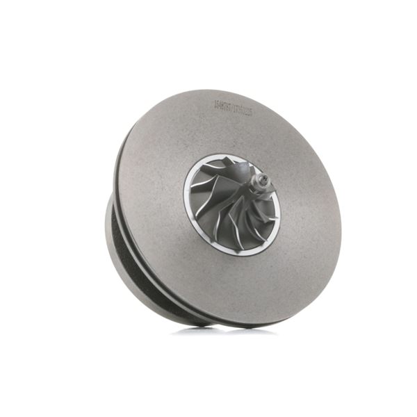 RIDEX CHRA turbo 4973C0250