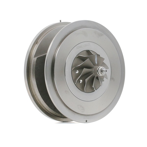 RIDEX CHRA turbo 4973C0252