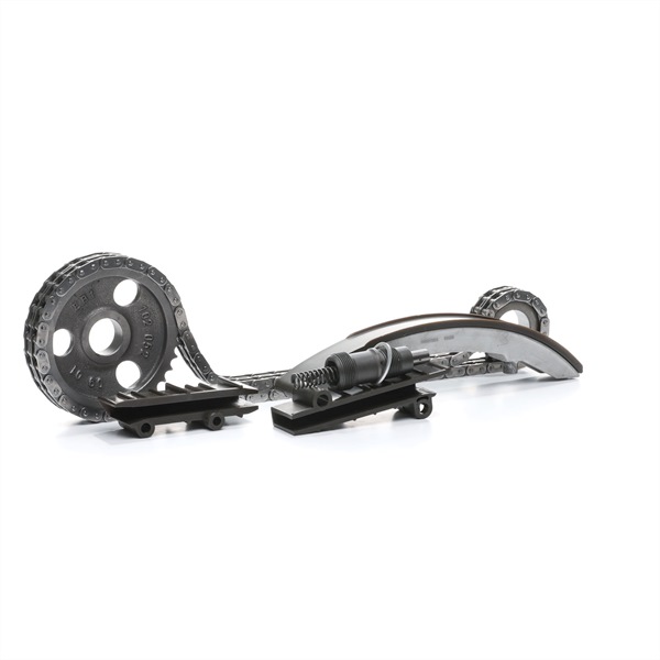 RIDEX Timing chain kit 1389T2689