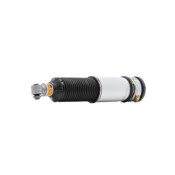 RIDEX 4118A0107 Amortisseur pneumatique 4066016841774
