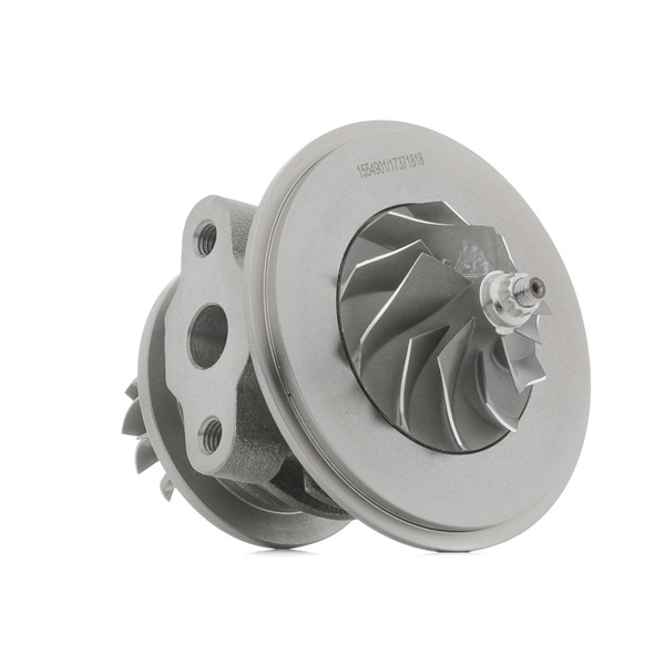 RIDEX Cartouche turbo 4973C0267