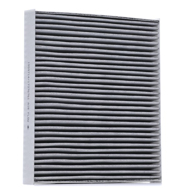 RIDEX 424I0734 Pollen filter