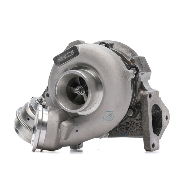 RIDEX Turbolader 2234C10830